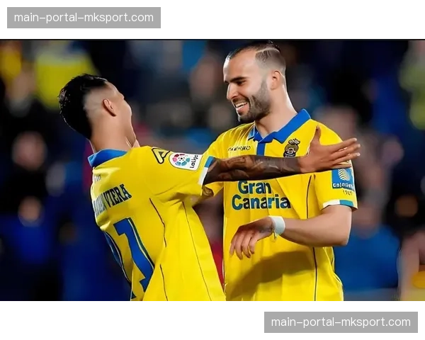 帕尔马0-2负于克雷莫纳，保级形势不容乐观